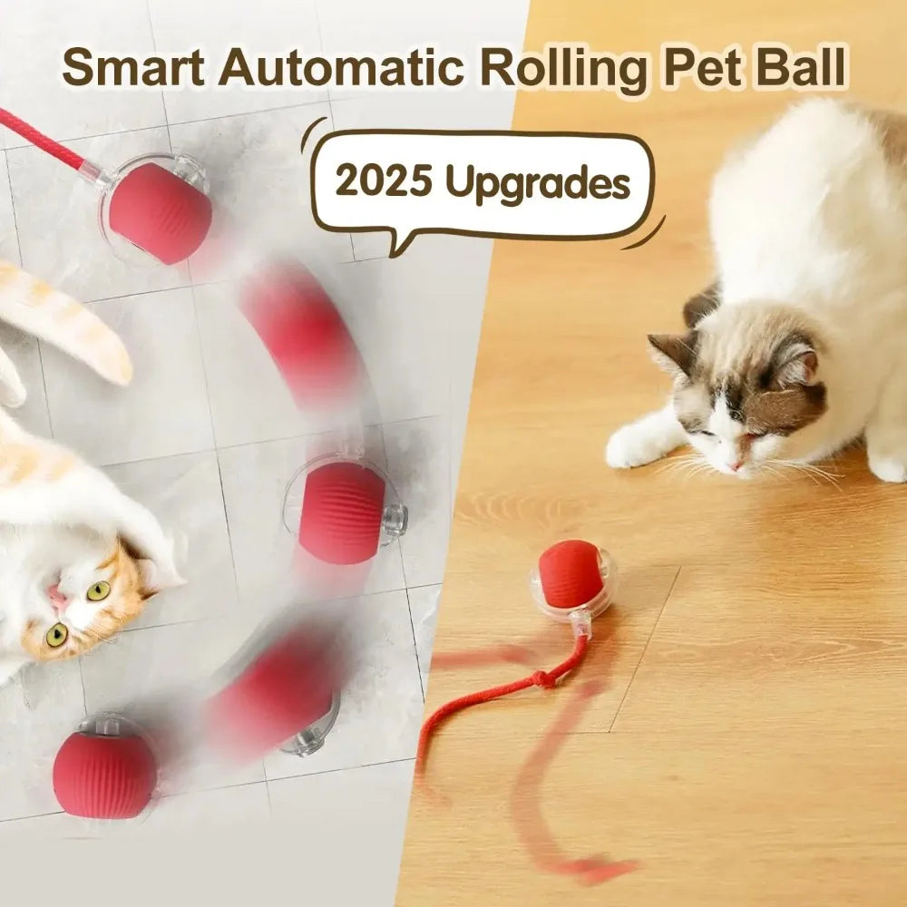 LEMEENQ™ SmartChase Interactive Cat Toy | Auto-Rolling Electronic Mouse | Rechargeable Motion-Activated Ball with Tail | Intelligent Pet Stimulation System - Pet Moda Store