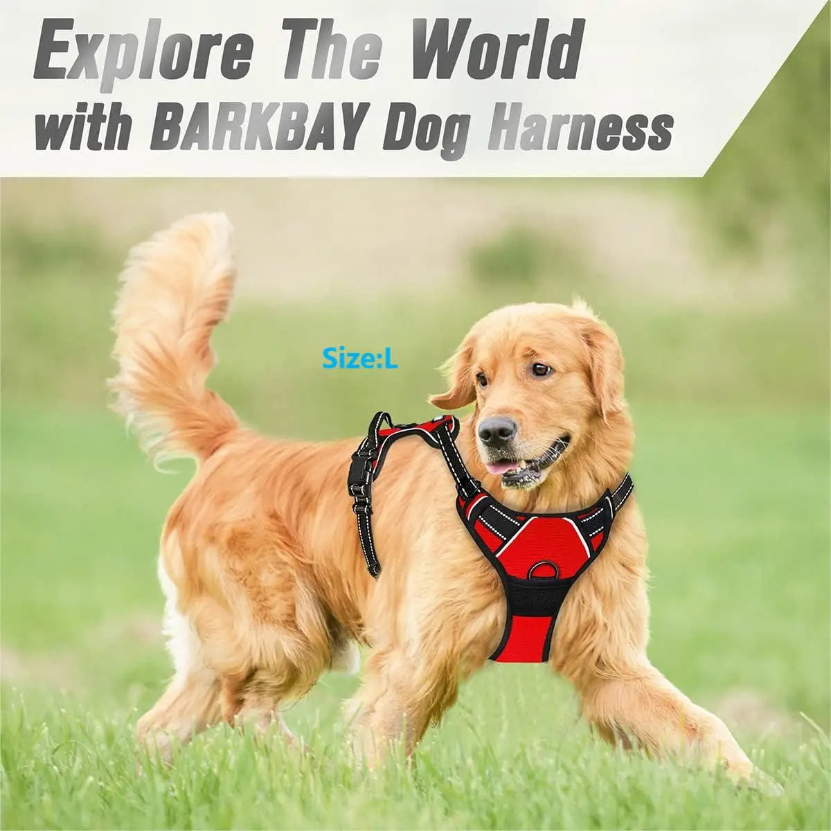 CommandControl™ Front-Clip Training Harness | Heavy-Duty Reflective Safety System | Ergonomic Handle Design | For Large Breed Walking - Pet Moda Store