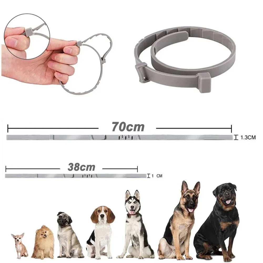 ElitePet™ Adjustable Premium Collar | Multiple Sizes (38-70cm) | For Small Dogs & Cats | Available in 5 Designer Colors - Pet Moda Store