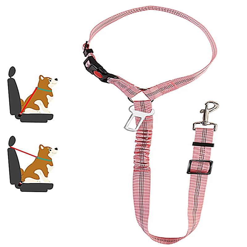 DualGuard™ 2-in-1 Safety System | Premium Car-to-Walk Harness & Leash | Adjustable Vehicle Restraint | For Dogs & Cats of All Sizes - Pet Moda Store