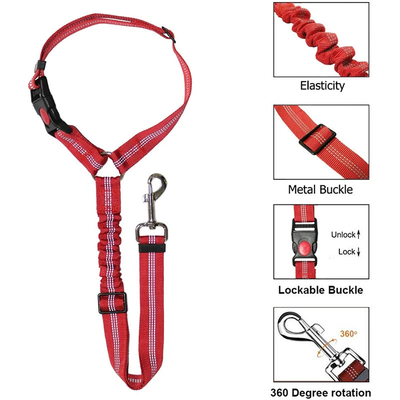 DualGuard™ 2-in-1 Safety System | Premium Car-to-Walk Harness & Leash | Adjustable Vehicle Restraint | For Dogs & Cats of All Sizes - Pet Moda Store