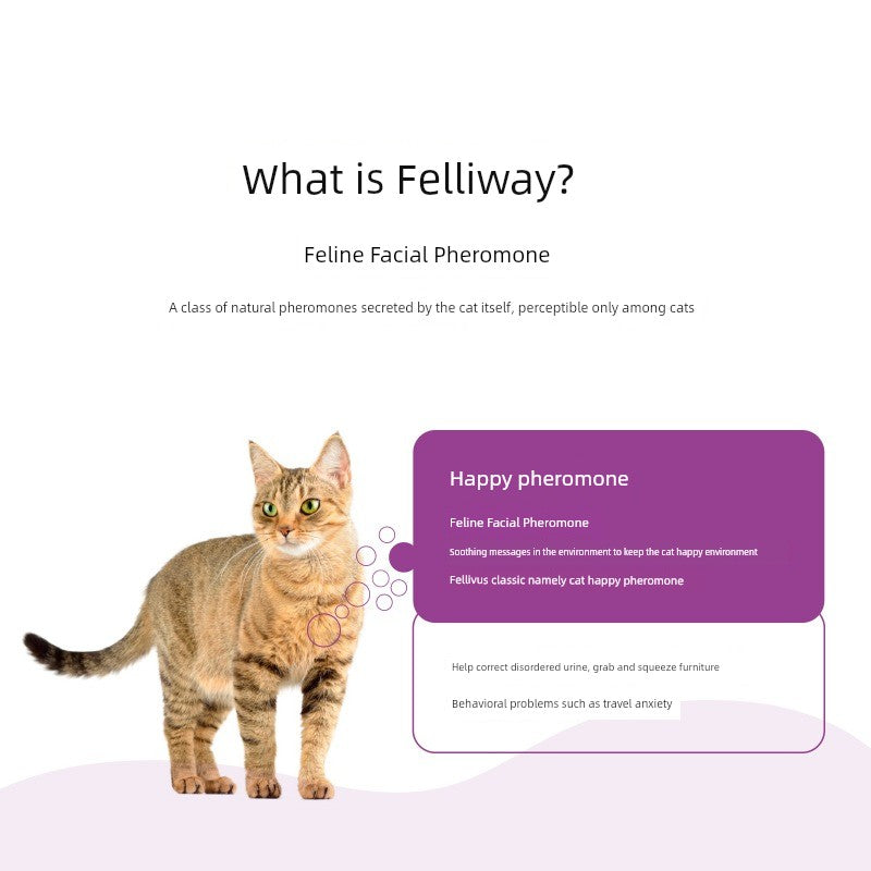 CalmEssence™ Feline Comfort Spray | Natural Pheromone Formula | Anti-Stress & Emotional Soothing | Premium Cat Behavior Solution - Pet Moda Store