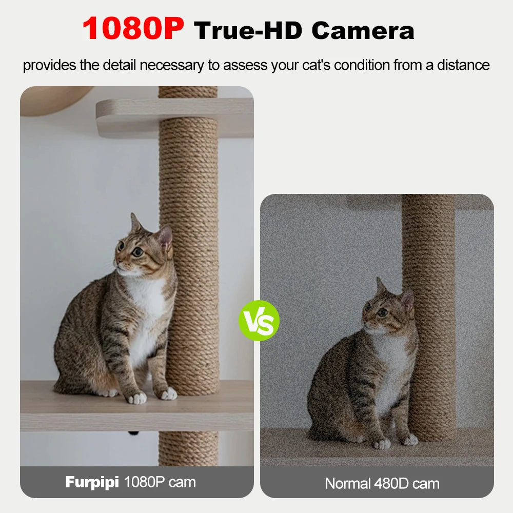 Ultra Capacity 8L Smart Pet Feeder with 1080p Surveillance Camera - 5G WiFi, Voice Recording and Mobile App Control for Cats and Dogs - Pet Moda Store