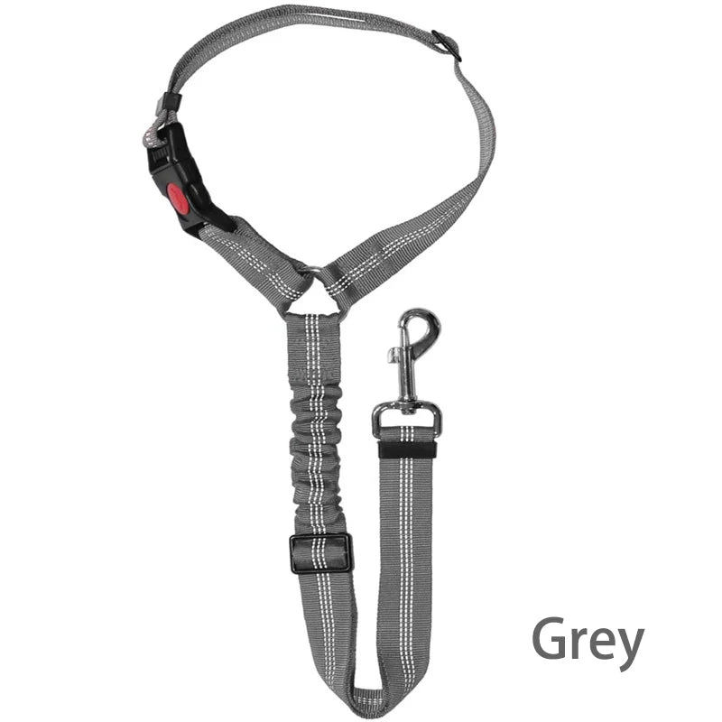 DualGuard™ 2-in-1 Safety System | Premium Car-to-Walk Harness & Leash | Adjustable Vehicle Restraint | For Dogs & Cats of All Sizes - Pet Moda Store