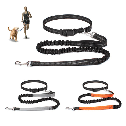 Hand Free Dog Leash for Pet Walking Running Jogging Adjustable Dog leash Waist Belt Chest Strap Traction Rope Dog Accessories - Pet Moda Store
