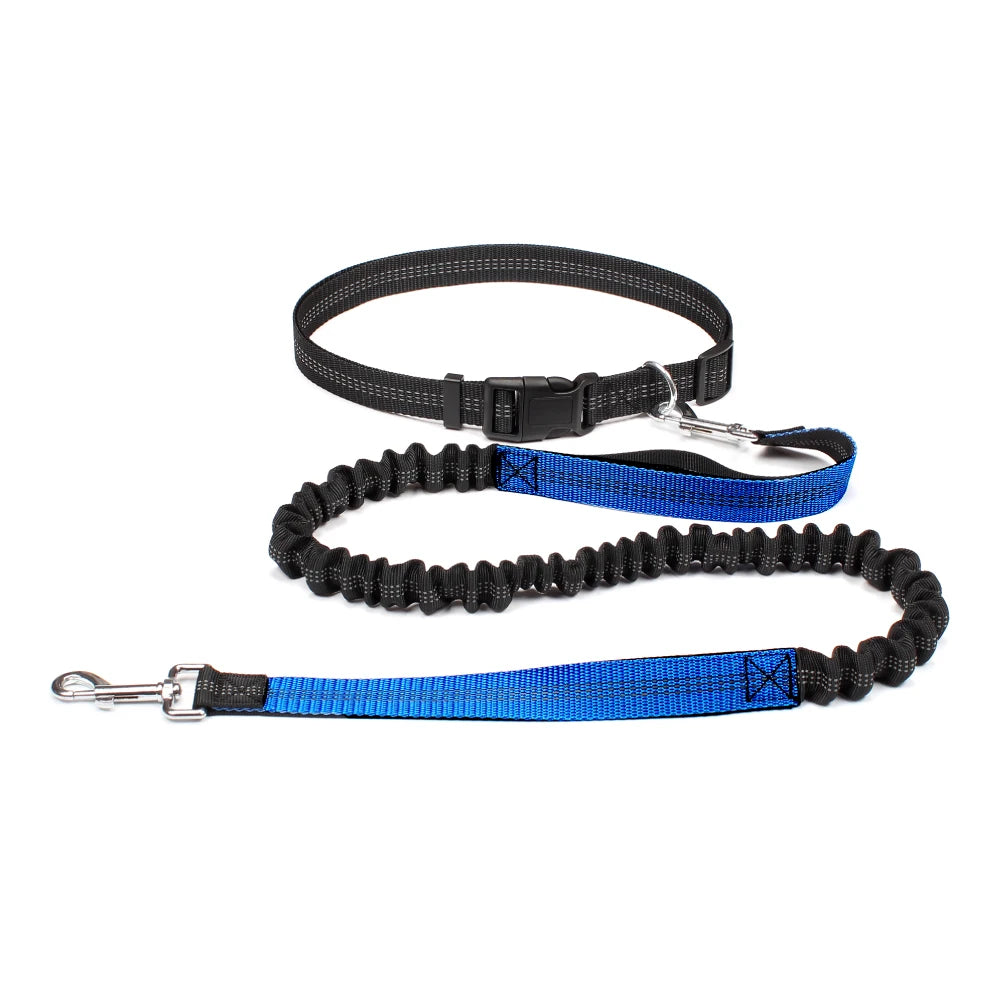 Hand Free Dog Leash for Pet Walking Running Jogging Adjustable Dog leash Waist Belt Chest Strap Traction Rope Dog Accessories - Pet Moda Store