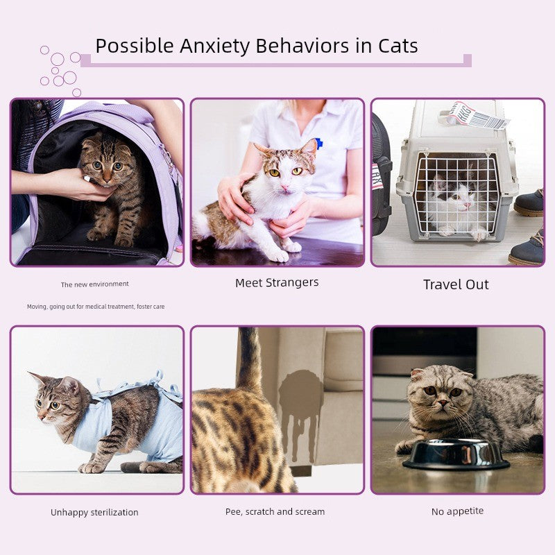 CalmEssence™ Feline Comfort Spray | Natural Pheromone Formula | Anti-Stress & Emotional Soothing | Premium Cat Behavior Solution - Pet Moda Store