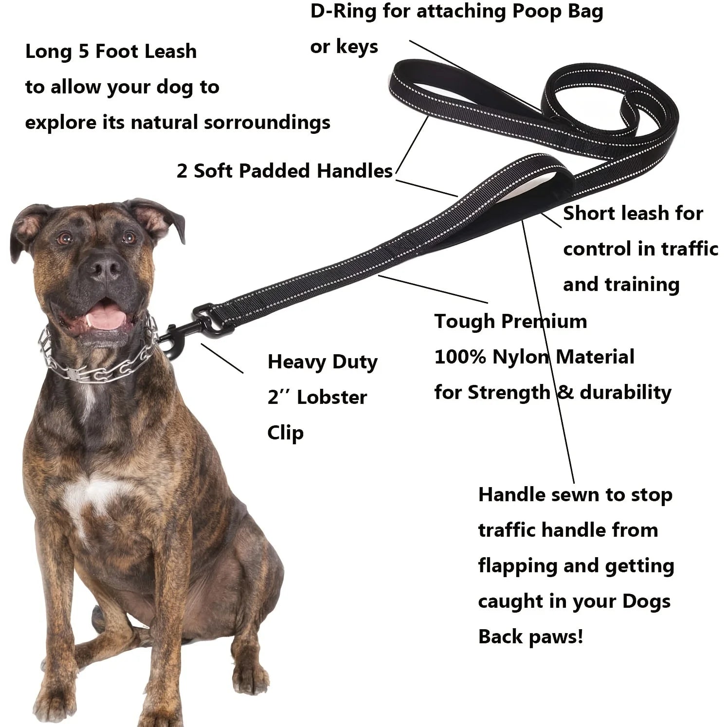 CommandPro™ Dual-Handle Training Leash | Heavy-Duty Control System | Premium Safety Technology | Professional-Grade Outdoor Lead - Pet Moda Store
