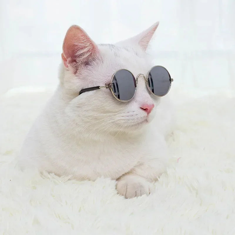 PawShades™ Premium Pet Sunglasses | UV-Protection Eyewear | Photo-Ready Summer Accessories | For Cats & Small Dogs - Pet Moda Store