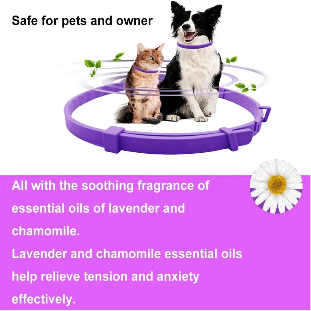 SerenityCare™ Pheromone-Infused Calming Collar | Natural Anxiety Relief for Cats & Dogs | Long-Lasting Stress Reduction | Adjustable Comfort Design - Pet Moda Store