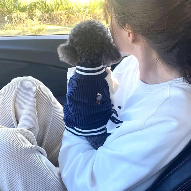 EmbroElite™ Designer Pet Varsity Jacket | Premium Embroidered Baseball Coat | Spring Fashion Collection | For Small & Medium Dogs/Cats - Pet Moda Store