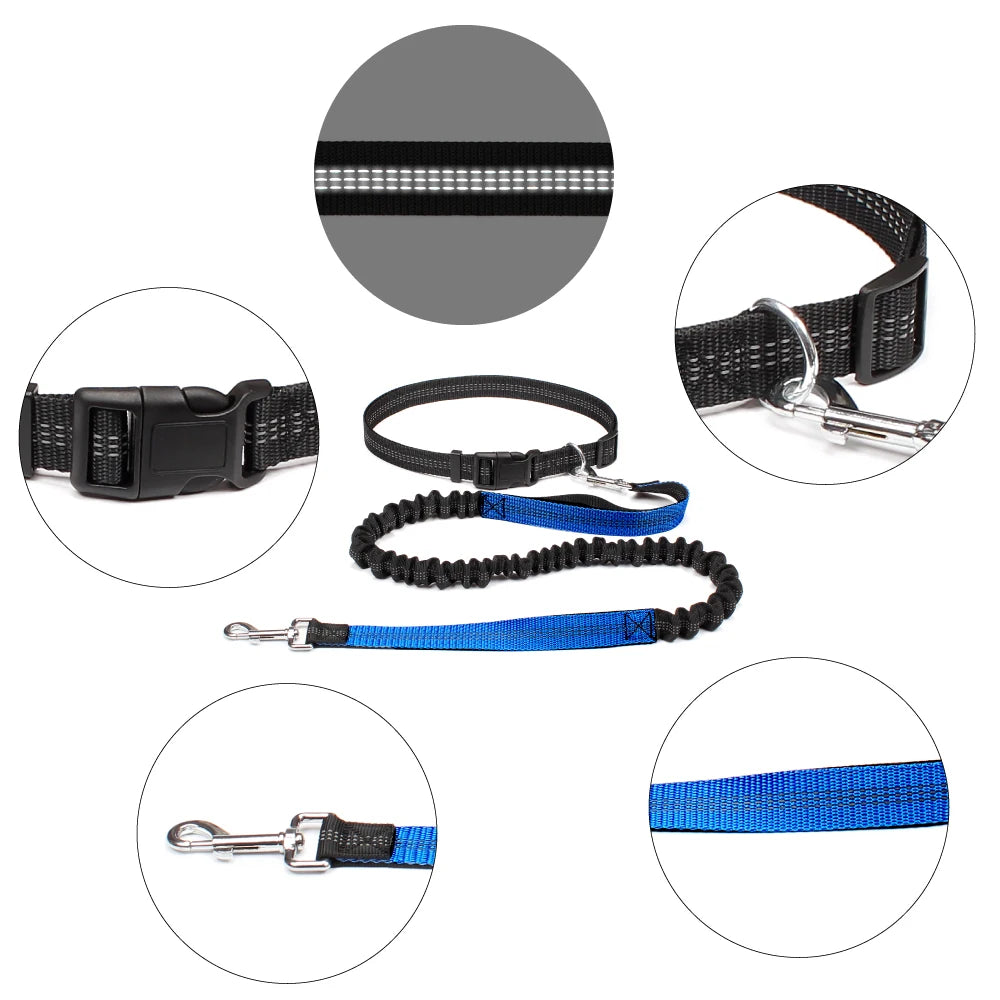 Hand Free Dog Leash for Pet Walking Running Jogging Adjustable Dog leash Waist Belt Chest Strap Traction Rope Dog Accessories - Pet Moda Store