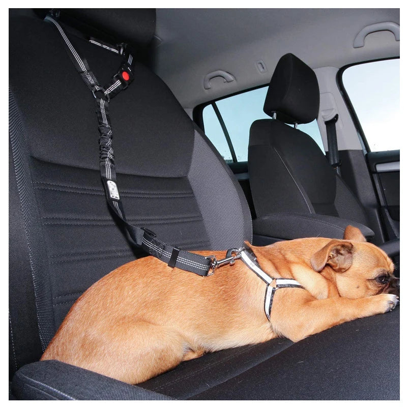 DualGuard™ 2-in-1 Safety System | Premium Car-to-Walk Harness & Leash | Adjustable Vehicle Restraint | For Dogs & Cats of All Sizes - Pet Moda Store