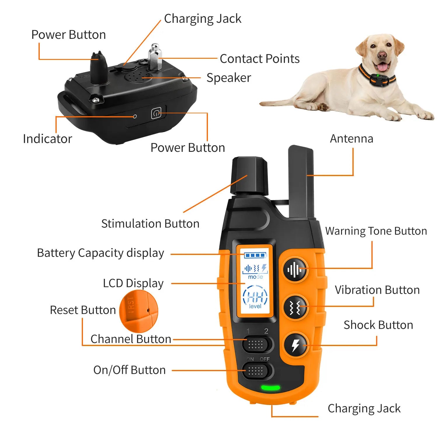 Professional Range Dog Training Collar - 3300ft Wireless Remote, Waterproof Design with Adjustable Stimulation & Vibration - For Dogs 5-120lbs - Pet Moda Store