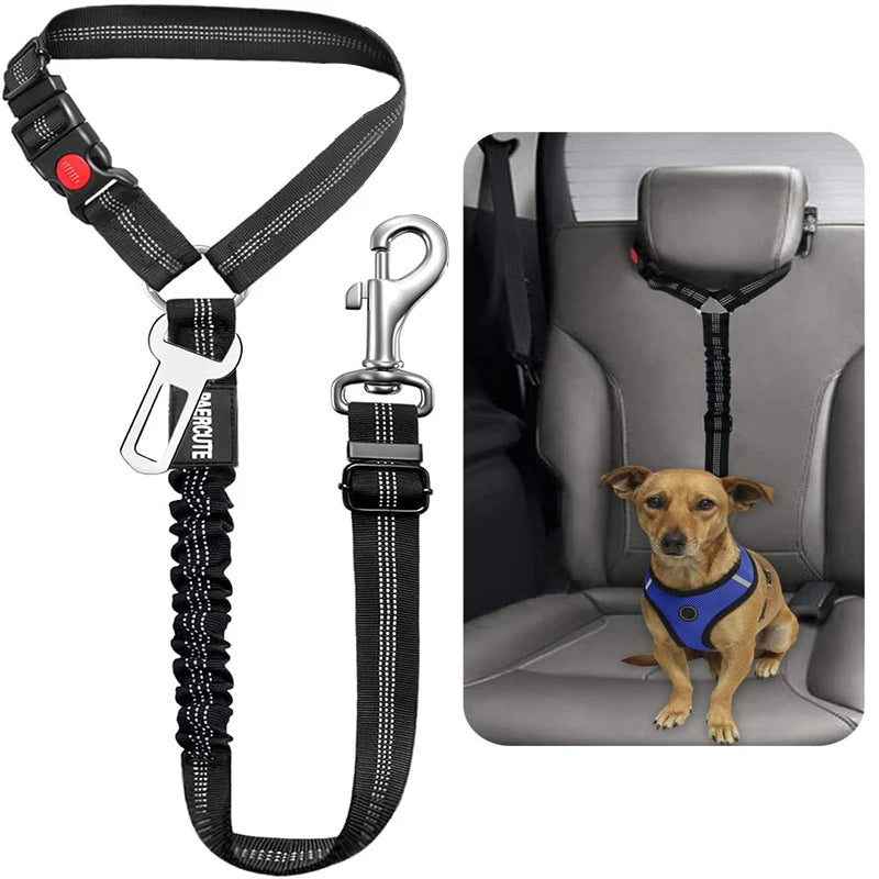 DualGuard™ 2-in-1 Safety System | Premium Car-to-Walk Harness & Leash | Adjustable Vehicle Restraint | For Dogs & Cats of All Sizes - Pet Moda Store