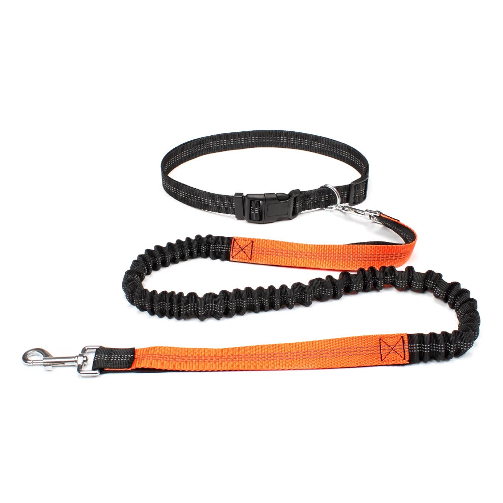 Hand Free Dog Leash for Pet Walking Running Jogging Adjustable Dog leash Waist Belt Chest Strap Traction Rope Dog Accessories - Pet Moda Store