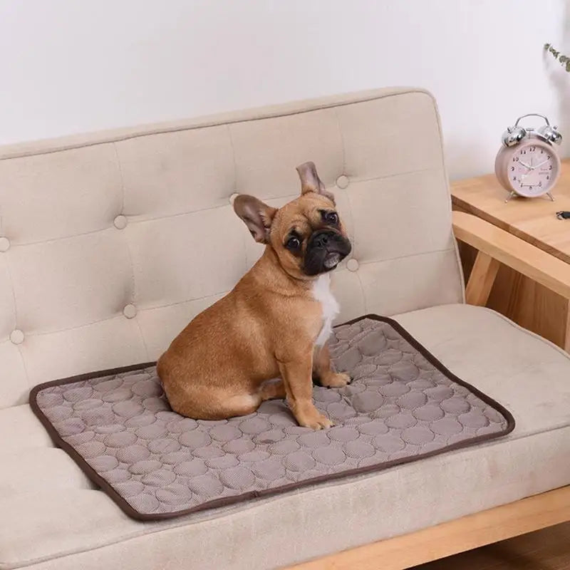 ArcticFlex™ Premium Cooling Pet Mat | All-Season Temperature Regulating Pad | Machine Washable & Breathable | For All Pet Sizes & Multiple Surfaces - Pet Moda Store