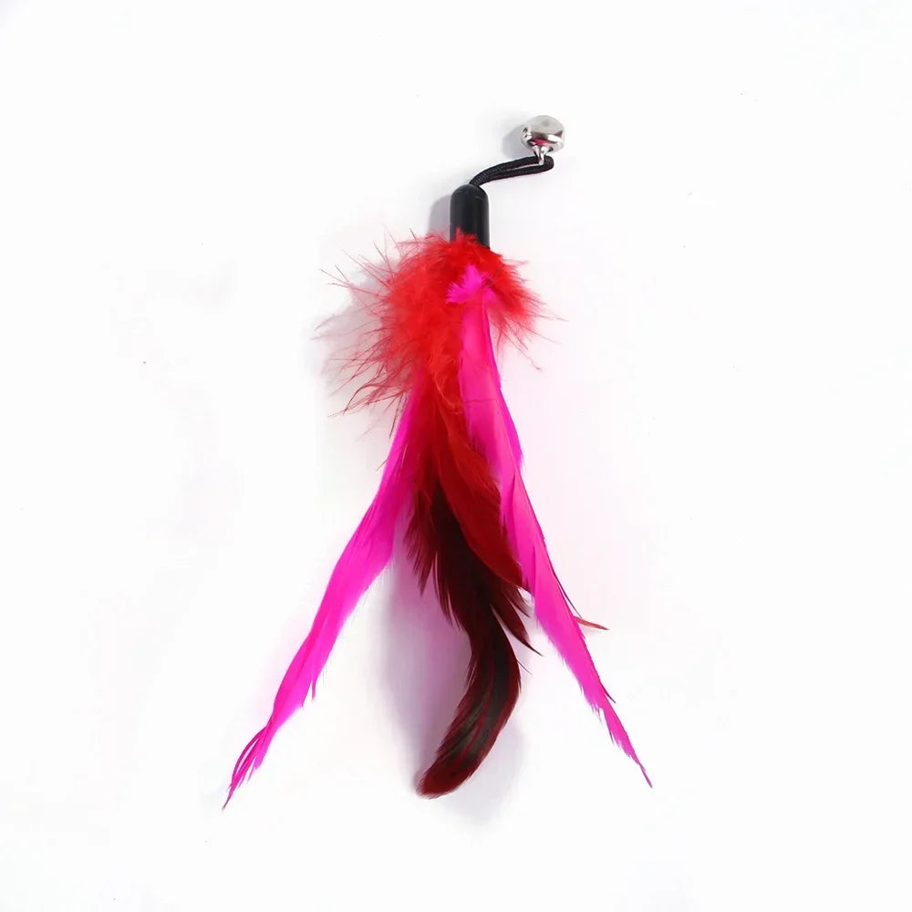 FeatherPrey™ Premium Cat Toy Refills | Interactive Wand Accessories Pack | Assorted Birds & Worms with Bells | Training Foam Balls for Kittens & Cats - Pet Moda Store