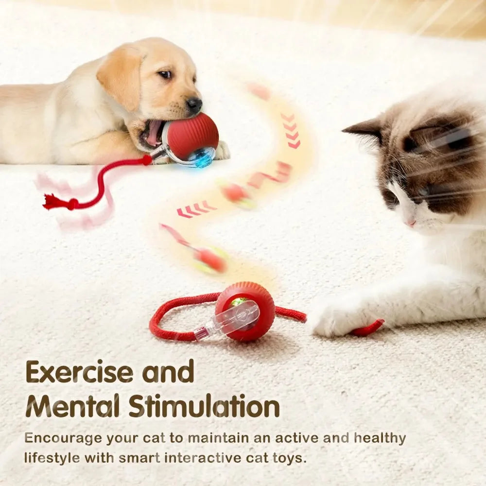 LEMEENQ™ SmartChase Interactive Cat Toy | Auto-Rolling Electronic Mouse | Rechargeable Motion-Activated Ball with Tail | Intelligent Pet Stimulation System - Pet Moda Store