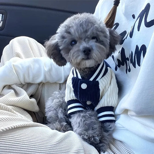 EmbroElite™ Designer Pet Varsity Jacket | Premium Embroidered Baseball Coat | Spring Fashion Collection | For Small & Medium Dogs/Cats - Pet Moda Store