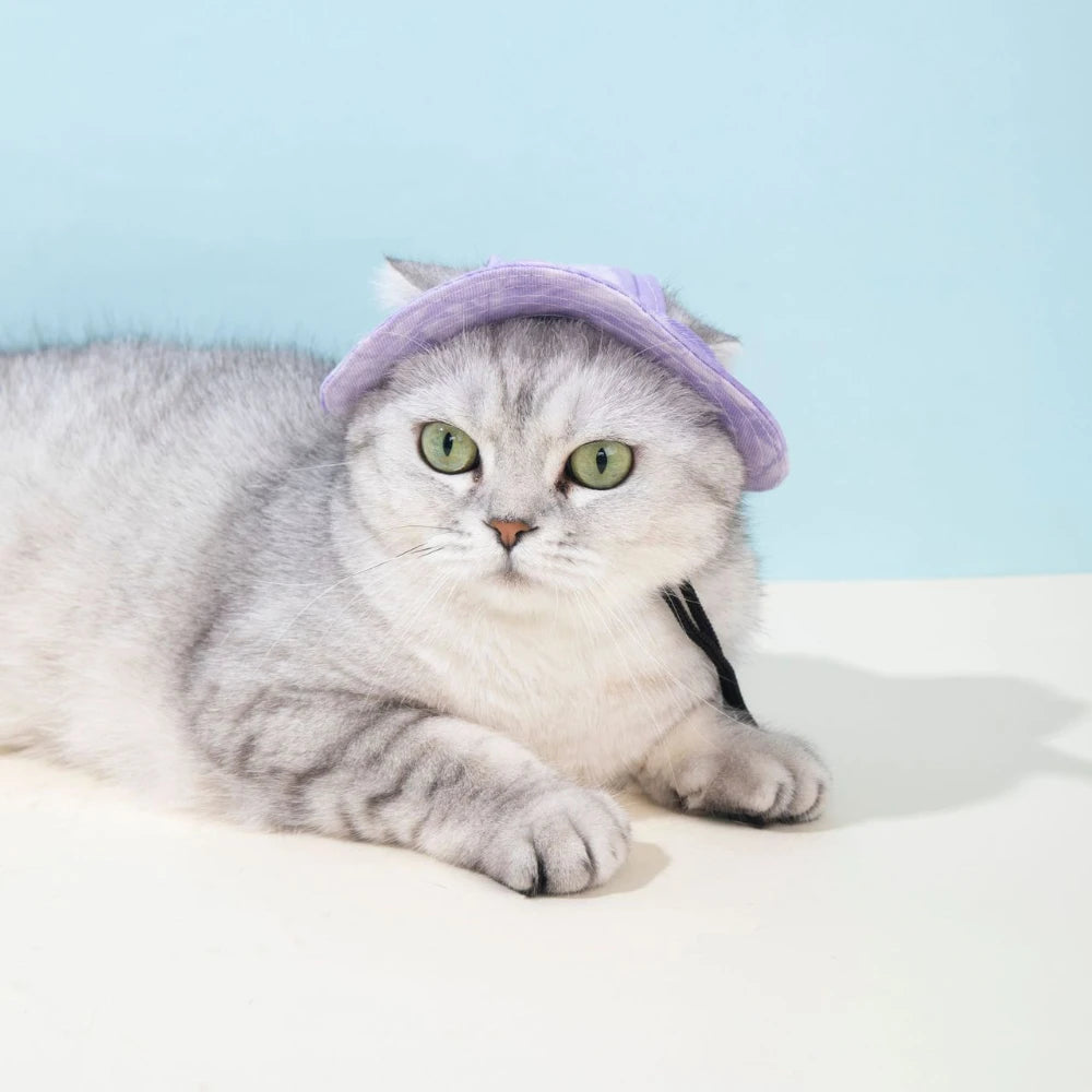 SportyCap™ Premium Pet Baseball Hat | Adjustable Ear-Hole Design | Colorful Summer Headwear | For Cats & Small-Medium Dogs - Pet Moda Store