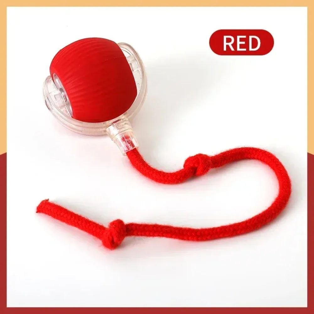 LEMEENQ™ SmartChase Interactive Cat Toy | Auto-Rolling Electronic Mouse | Rechargeable Motion-Activated Ball with Tail | Intelligent Pet Stimulation System - Pet Moda Store