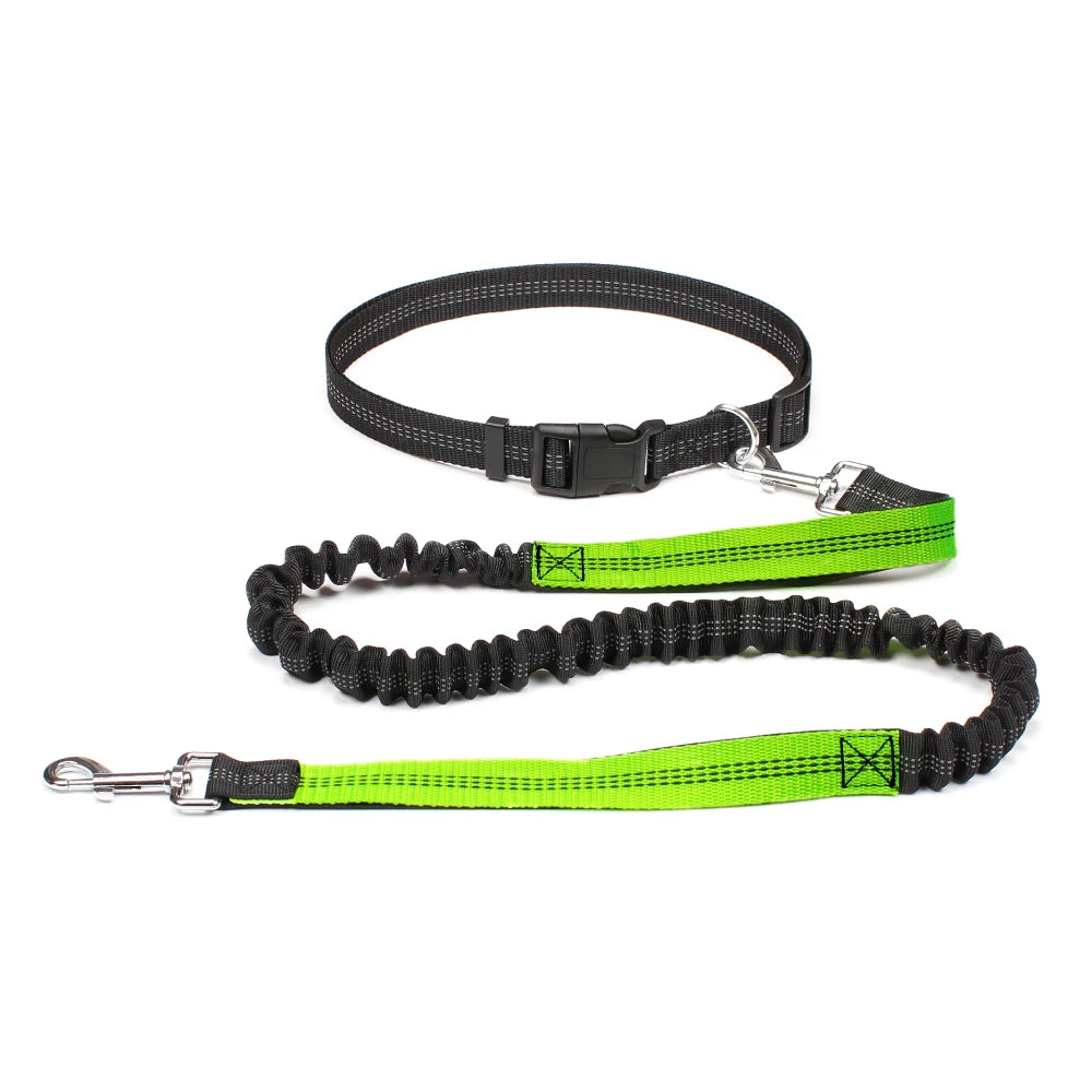 Hand Free Dog Leash for Pet Walking Running Jogging Adjustable Dog leash Waist Belt Chest Strap Traction Rope Dog Accessories - Pet Moda Store