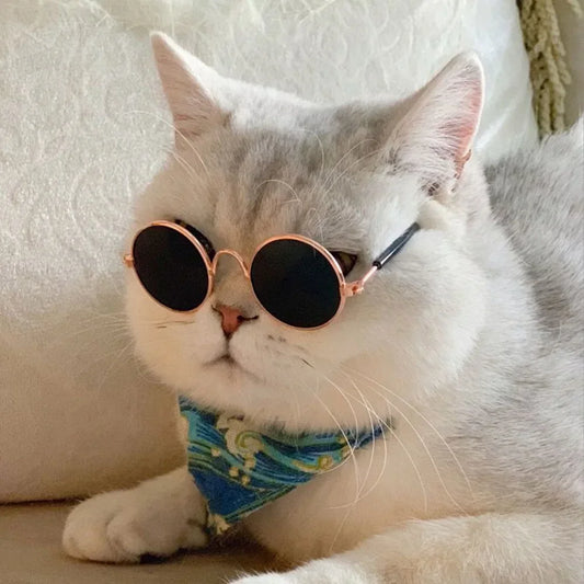 PawShades™ Premium Pet Sunglasses | UV-Protection Eyewear | Photo-Ready Summer Accessories | For Cats & Small Dogs - Pet Moda Store