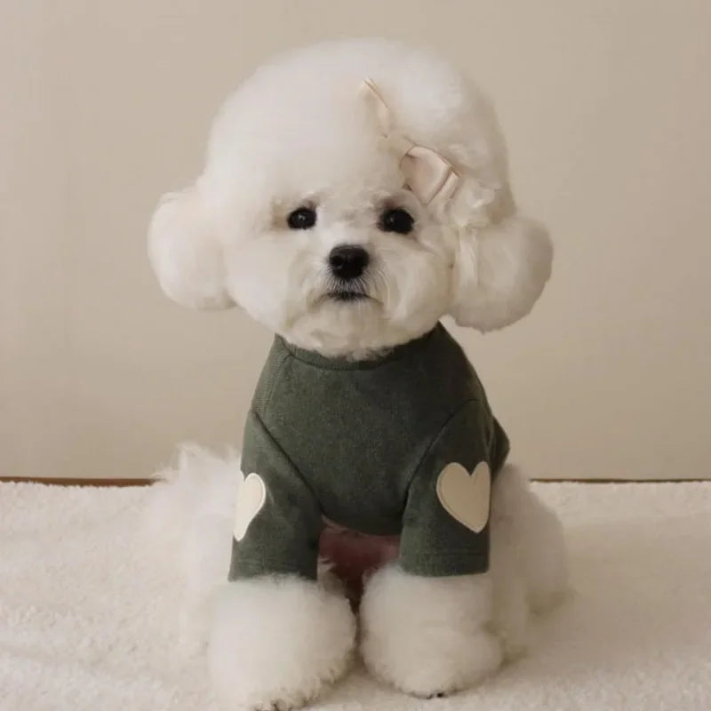 CuddleBear™ Designer Winter Collection | Luxury Thermal Pet Hoodie | Premium Love-Themed Outerwear | For Small Dogs & Cats - Pet Moda Store