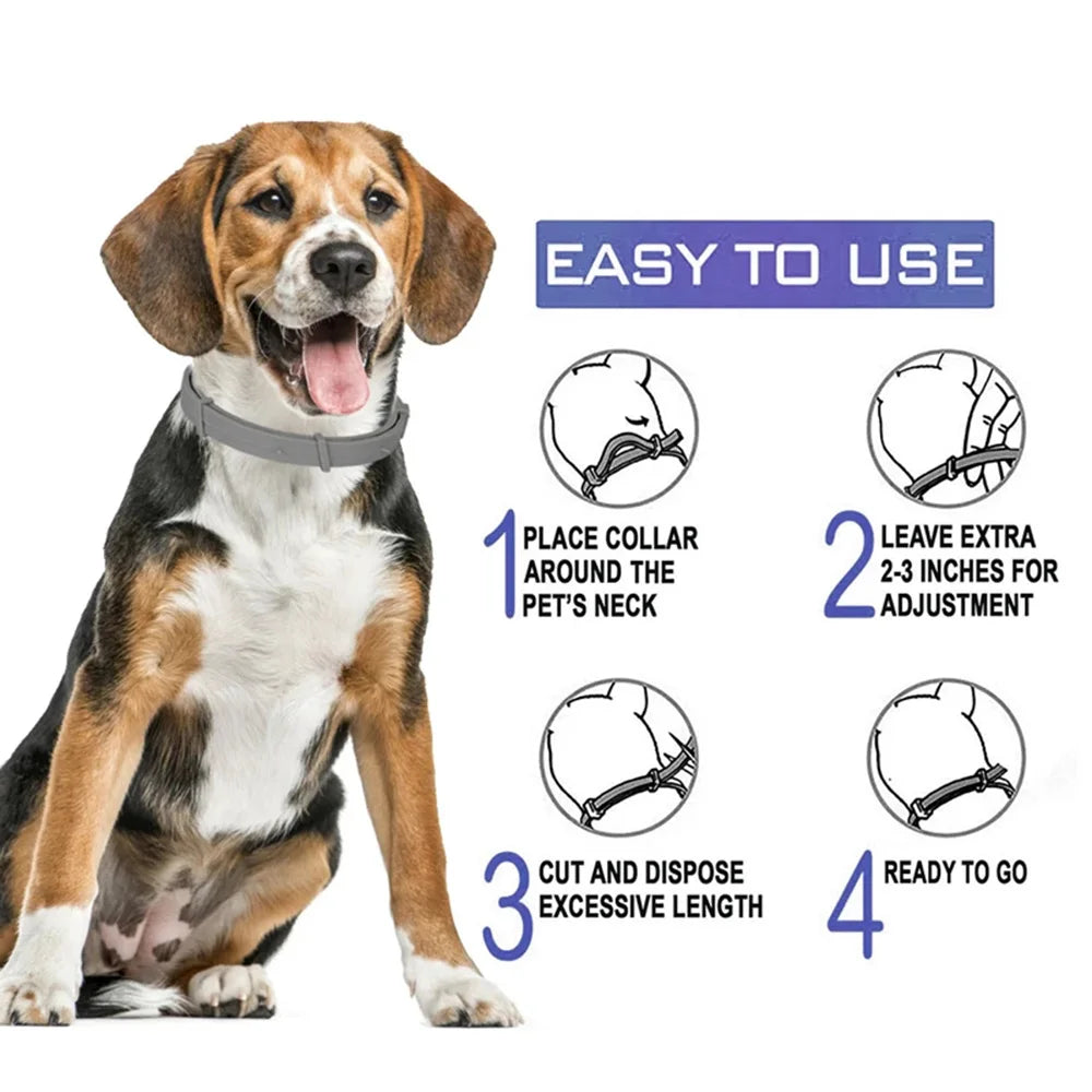 ElitePet™ Adjustable Premium Collar | Multiple Sizes (38-70cm) | For Small Dogs & Cats | Available in 5 Designer Colors - Pet Moda Store