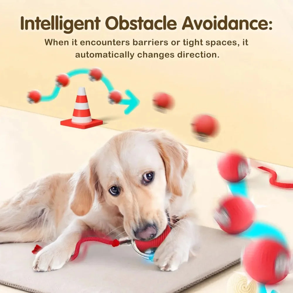 LEMEENQ™ SmartChase Interactive Cat Toy | Auto-Rolling Electronic Mouse | Rechargeable Motion-Activated Ball with Tail | Intelligent Pet Stimulation System - Pet Moda Store
