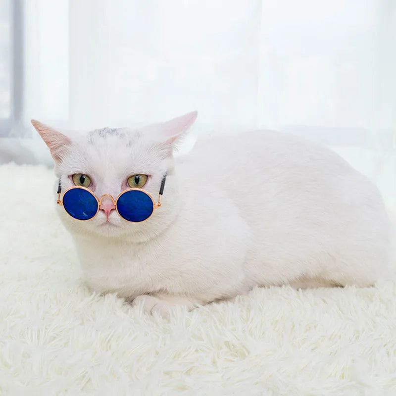 PawShades™ Premium Pet Sunglasses | UV-Protection Eyewear | Photo-Ready Summer Accessories | For Cats & Small Dogs - Pet Moda Store