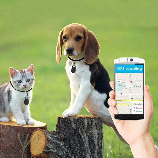 Premium Compact GPS Tracker - Sleek Teardrop Design - Real-Time Tracking for Vehicles, Keys, Pets & Children - Anti-Theft Security Device Available in 5 Designer Colors - Pet Moda Store