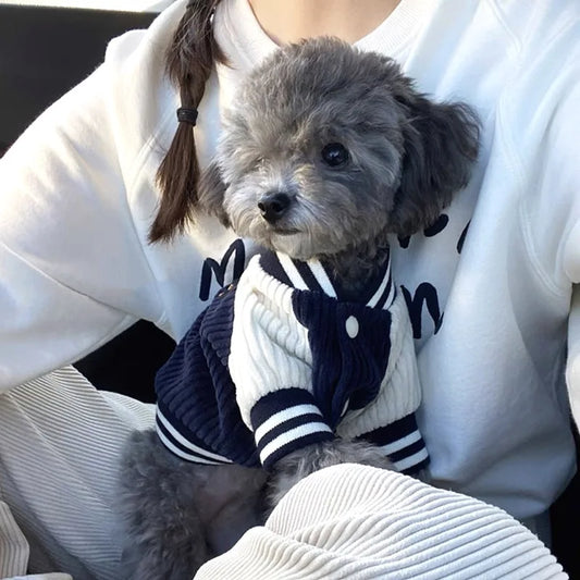 EmbroElite™ Designer Pet Varsity Jacket | Premium Embroidered Baseball Coat | Spring Fashion Collection | For Small & Medium Dogs/Cats - Pet Moda Store