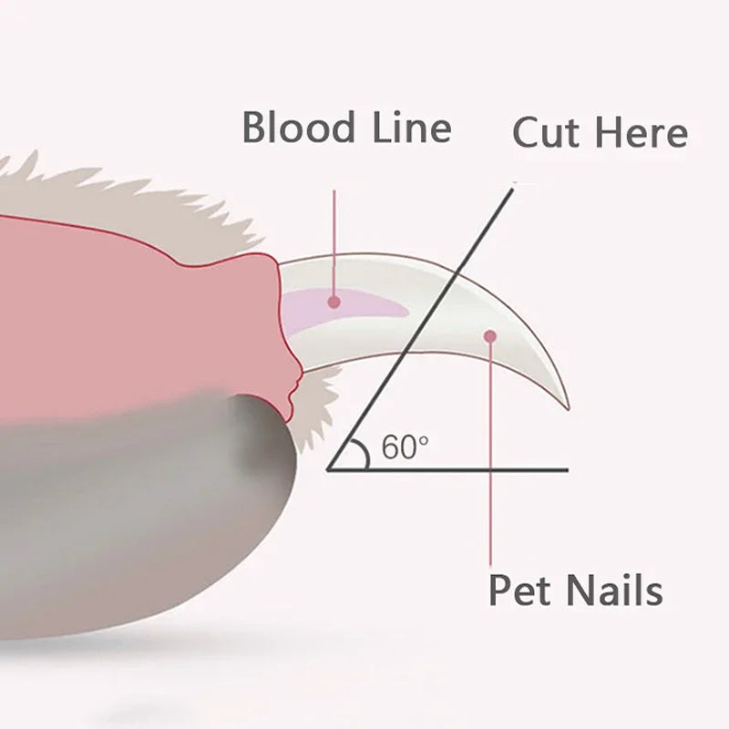 PrecisionCut™ Professional Pet Nail Kit | Straight-Handle Stainless Steel Clippers | Complete Grooming & Cleaning Set | For All Dogs & Cats - Pet Moda Store