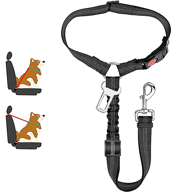 DualGuard™ 2-in-1 Safety System | Premium Car-to-Walk Harness & Leash | Adjustable Vehicle Restraint | For Dogs & Cats of All Sizes - Pet Moda Store