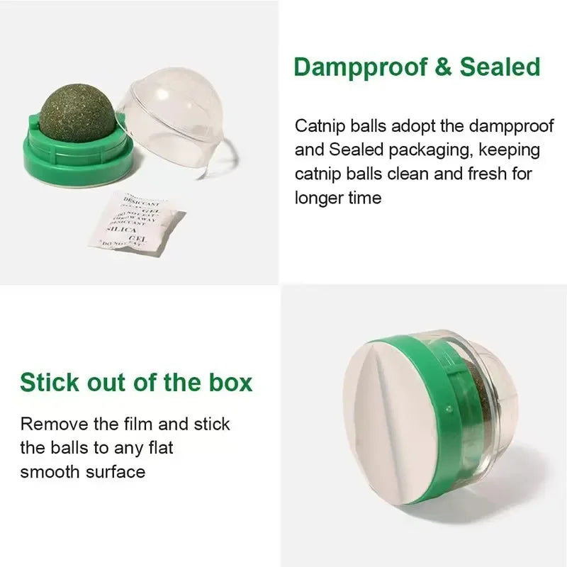 NipStick™ Feline Wellness System | Premium Wall-Mounted Interactive Toy | Natural Catnip-Infused Scratch Balls | Digestive Health Support & Enrichment Solution - Pet Moda Store