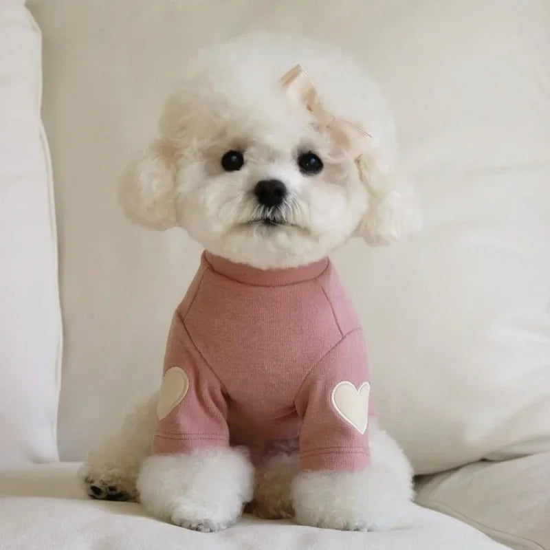 CuddleBear™ Designer Winter Collection | Luxury Thermal Pet Hoodie | Premium Love-Themed Outerwear | For Small Dogs & Cats - Pet Moda Store