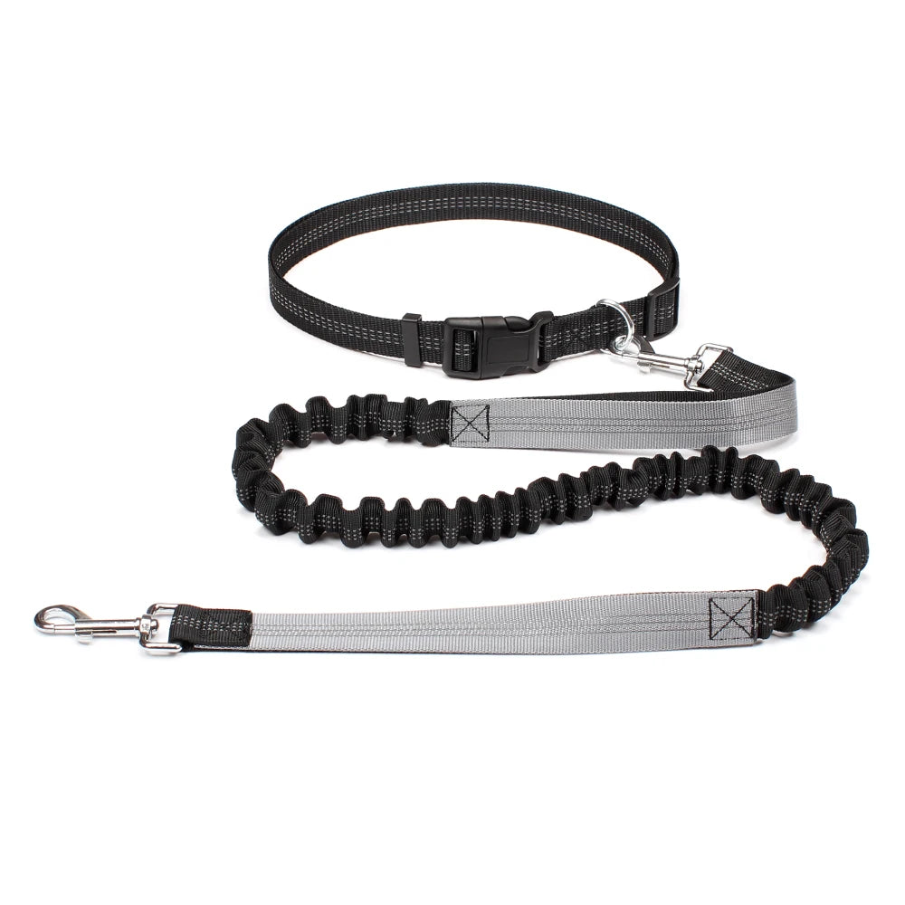 Hand Free Dog Leash for Pet Walking Running Jogging Adjustable Dog leash Waist Belt Chest Strap Traction Rope Dog Accessories - Pet Moda Store