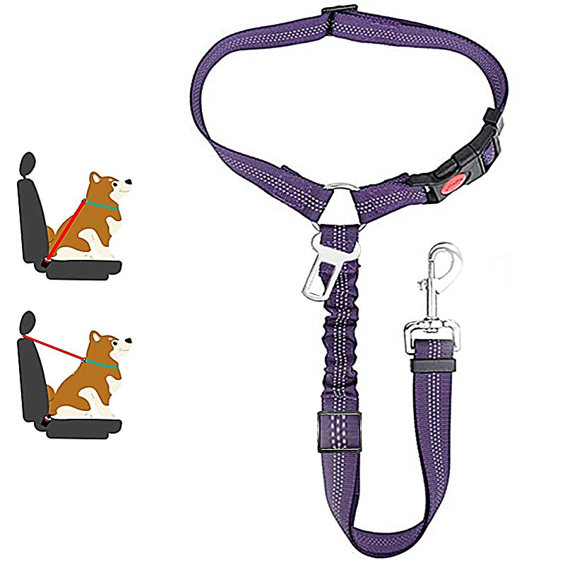 DualGuard™ 2-in-1 Safety System | Premium Car-to-Walk Harness & Leash | Adjustable Vehicle Restraint | For Dogs & Cats of All Sizes - Pet Moda Store