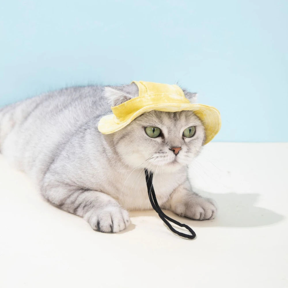 SportyCap™ Premium Pet Baseball Hat | Adjustable Ear-Hole Design | Colorful Summer Headwear | For Cats & Small-Medium Dogs - Pet Moda Store