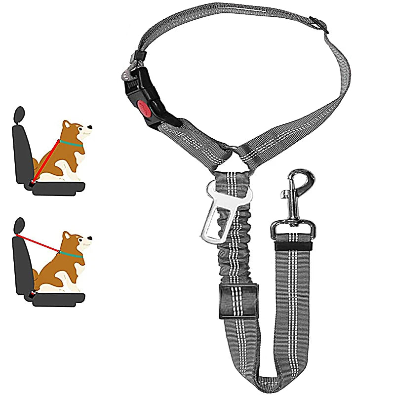 DualGuard™ 2-in-1 Safety System | Premium Car-to-Walk Harness & Leash | Adjustable Vehicle Restraint | For Dogs & Cats of All Sizes - Pet Moda Store