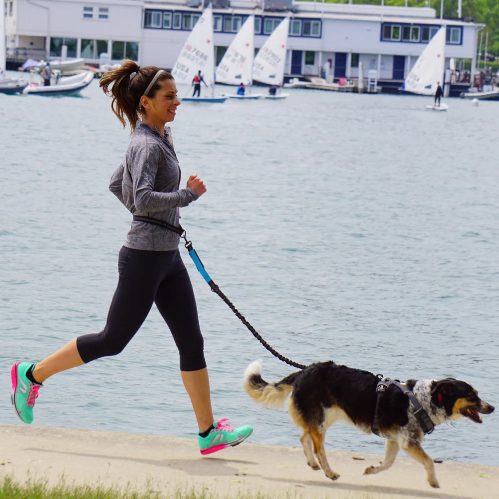 Hand Free Dog Leash for Pet Walking Running Jogging Adjustable Dog leash Waist Belt Chest Strap Traction Rope Dog Accessories - Pet Moda Store