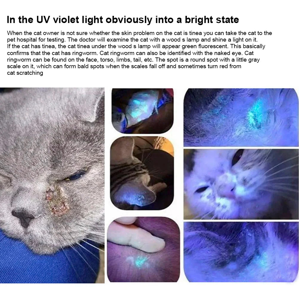 Professional Veterinary UV Diagnostic Tool - 365nm Ultraviolet Detection Lamp - Waterproof Design for Fungal & Skin Condition Assessment - Advanced Pet Dermatology Solution - Pet Moda Store