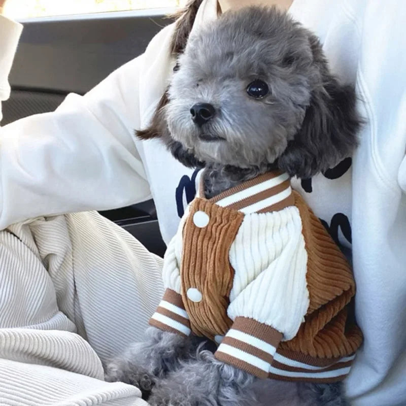 EmbroElite™ Designer Pet Varsity Jacket | Premium Embroidered Baseball Coat | Spring Fashion Collection | For Small & Medium Dogs/Cats - Pet Moda Store