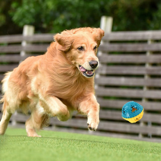DentalTone™ Interactive Training Ball | Premium Teeth Cleaning Chew Toy | Food Dispensing System with Sound | Durable Anti-Bite Design for Dogs - Pet Moda Store