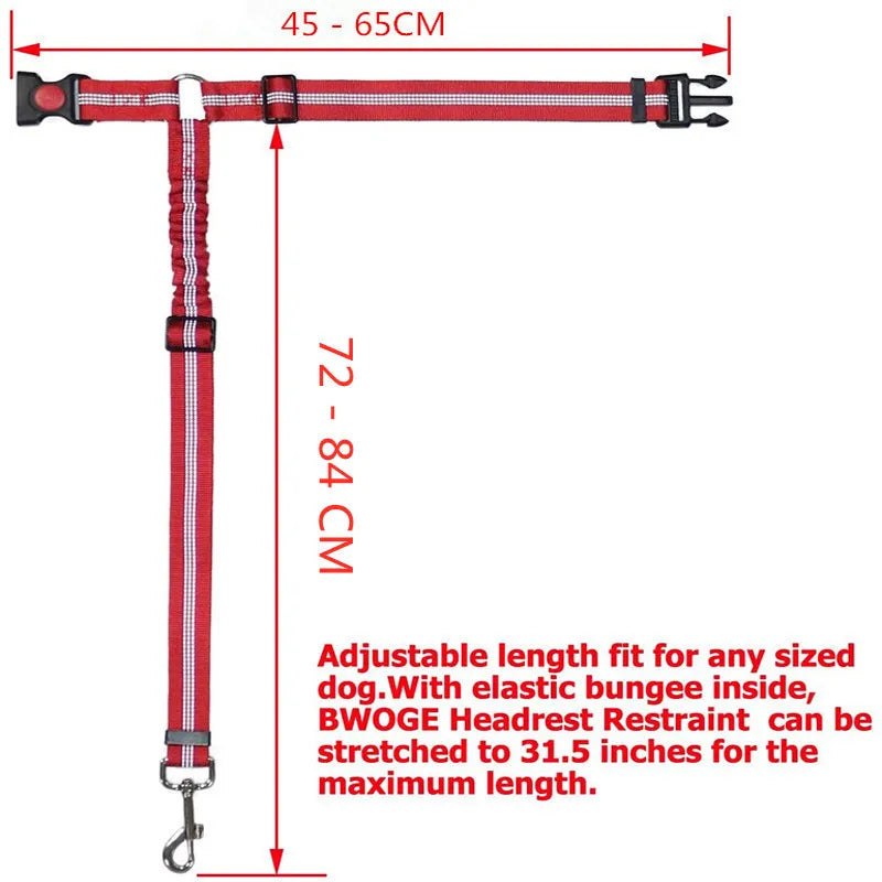 DualGuard™ 2-in-1 Safety System | Premium Car-to-Walk Harness & Leash | Adjustable Vehicle Restraint | For Dogs & Cats of All Sizes - Pet Moda Store