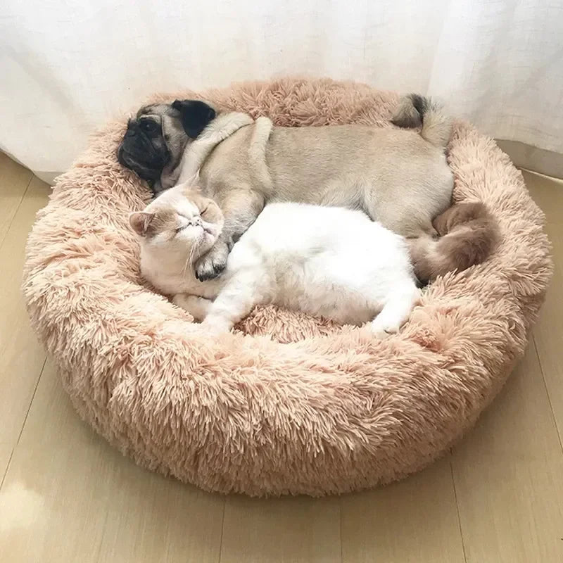 DreamDonut™ Premium Calming Cat Bed | Plush Washable Comfort Technology | 360° Support Design | Suitable for All Feline Breeds - Pet Moda Store