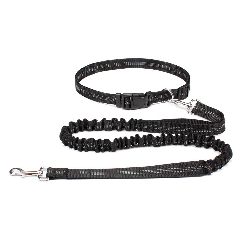 Hand Free Dog Leash for Pet Walking Running Jogging Adjustable Dog leash Waist Belt Chest Strap Traction Rope Dog Accessories - Pet Moda Store