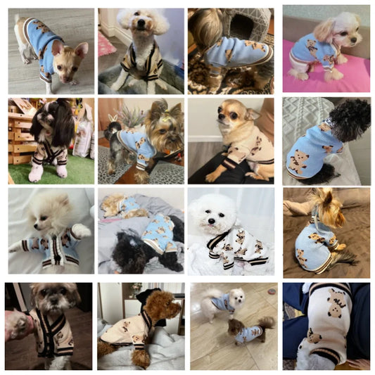 StripedLuxe™ Designer Pet Cardigan | Premium Thermal Knitwear | Luxury Canine & Feline Collection | For Chihuahua, Bichon & All Breeds - Pet Moda Store